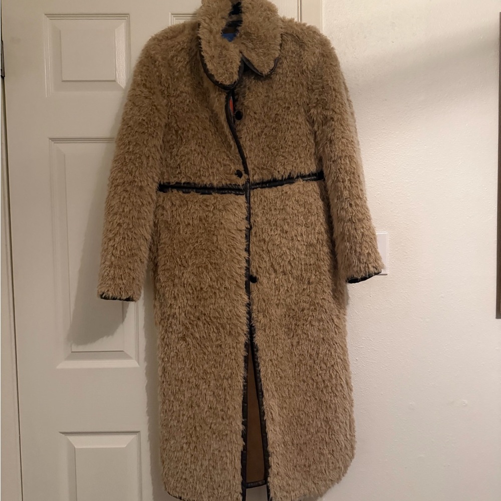 Zara Limited edition coat